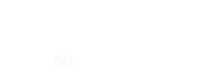 WHIMZEES - white footer logo